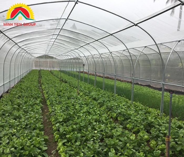 tấm lợp lấy sáng trong nông nghiệp