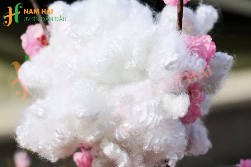 Bông gòn polyester