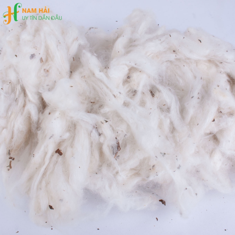 các loại bông gòn