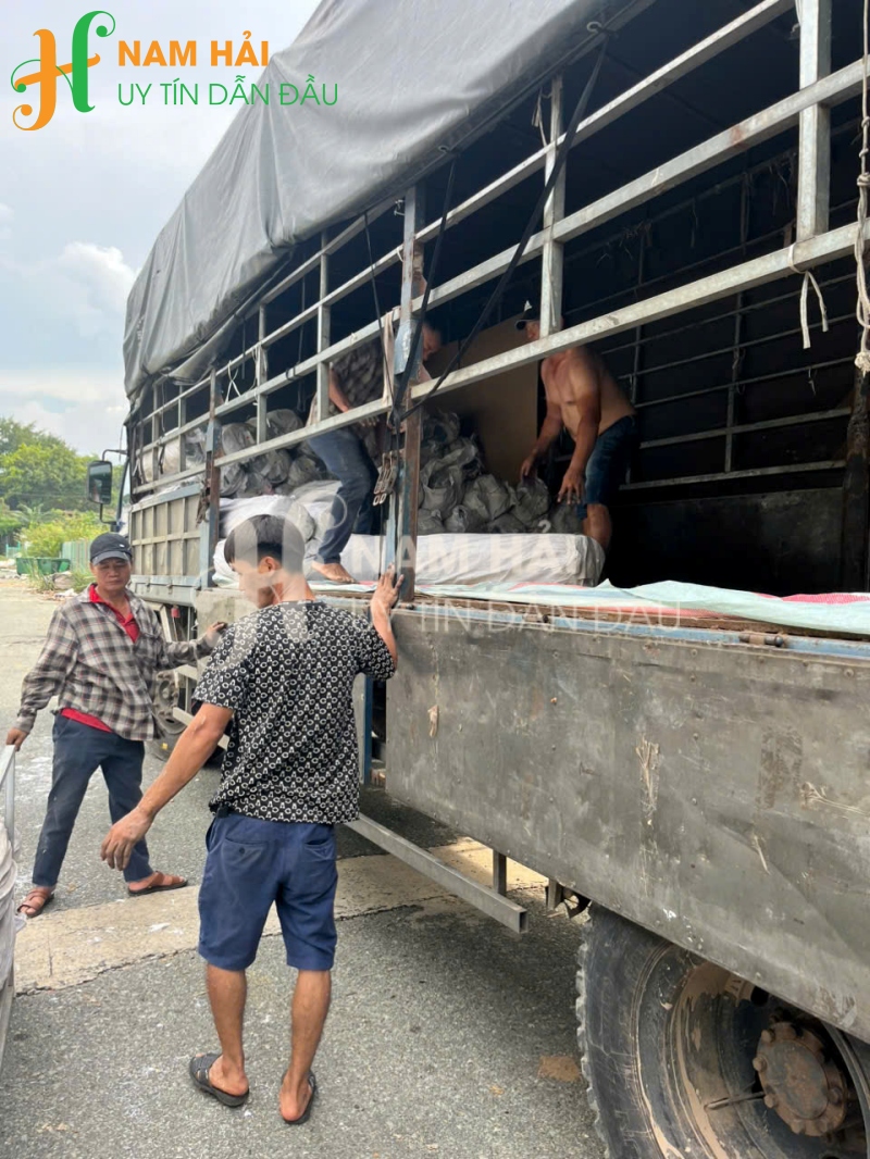 THU MUA VẢI TỒN KHO AN GIANG