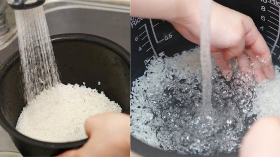 Cách nấu cơm ngon bằng nồi cơm Nhật từ A đến Z 2 Chọn gạo và vo gạo đúng cách giúp cơm thơm ngon và giữ được vị ngọt tự nhiên
